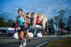 BIB: 
                            <button type="button" onclick="openModal(26541507)" class="btn btn-primary btn-sm float-right btn-popup" data-toggle="modal" data-target=".modal-high-quality">
                        <i class="fas fa-shopping-cart"></i> Add to Cart
                    </button>
                                            <button type="button" onclick="isThisMe(26541507, true)" class="btn btn-success btn-sm float-right btn-popup btn-isme hidden" data-toggle="tooltip" data-placement="bottom" title="นี่คือรูปของคุณใช่ไหม คลิกที่นี่เพื่อเอาเข้าอัลบั้ม">
                        <i class="fas fa-plus"></i> Add to album
                    </button>
                    <button type="button" onclick="isThisMe(26541507, false)" class="btn btn-warning btn-sm float-right btn-popup btn-isnotme hidden">
                        <i class="fas fa-ban"></i> Remove from album
                    </button>